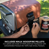 NINJA WOOD FIRE ELECTRIC OUTDOOR OVEN-ARTISAN PIZZA MAKER AN