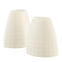 BELLEEK GRAFTON SALT & PEPPER