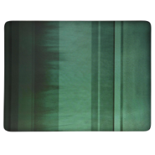 DENBY COLOURS GREEN 6PC PLACEMATS