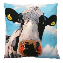 EOIN GIRL CUSHION