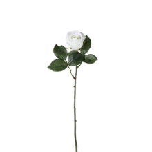 GALLERY ROSE STEM WHITE