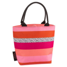 TRIBAL FUSION LUNCH TOTE STRIPE