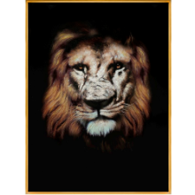 LION FRAMED PICTURE 90*120CM