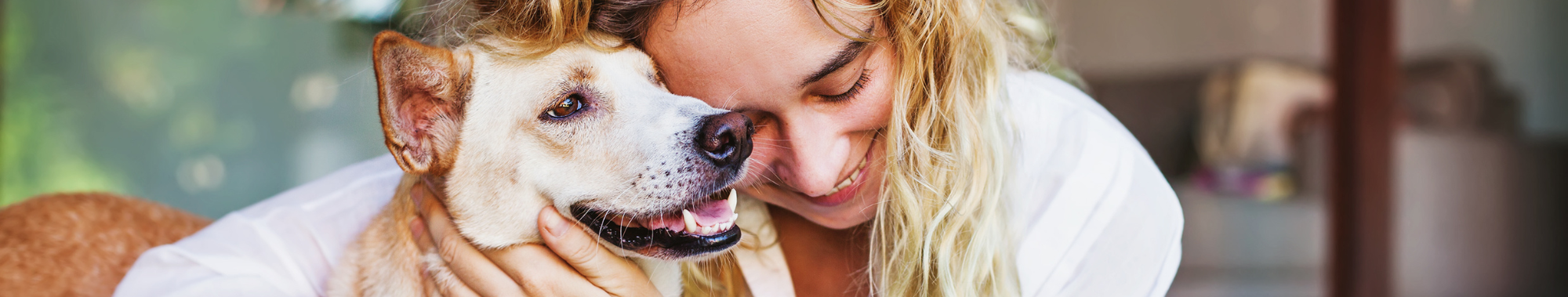 PET CARE