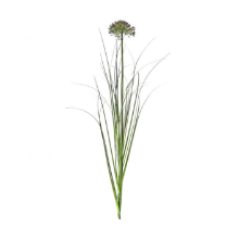 GALLERY ALLIUM GRASS SPRAY DAMSON GREEN