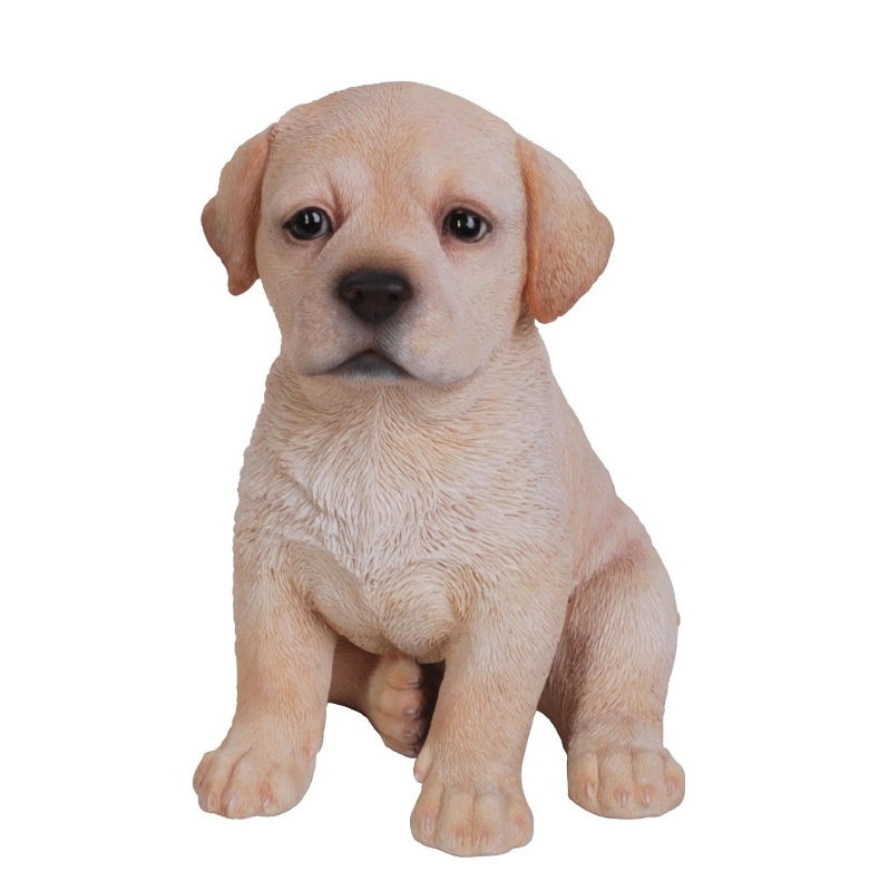 PP-LABR-F GOLDEN LAB PUPPY