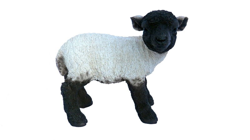 RXL-BLLB-A LAMB A