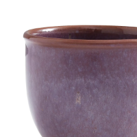 PORTMEIRION MINERALS MUG-AMETHYST