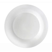 JM EVERYDAY DINNER PLATE