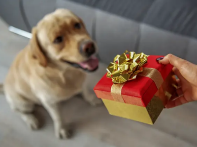 Gifts for Pets