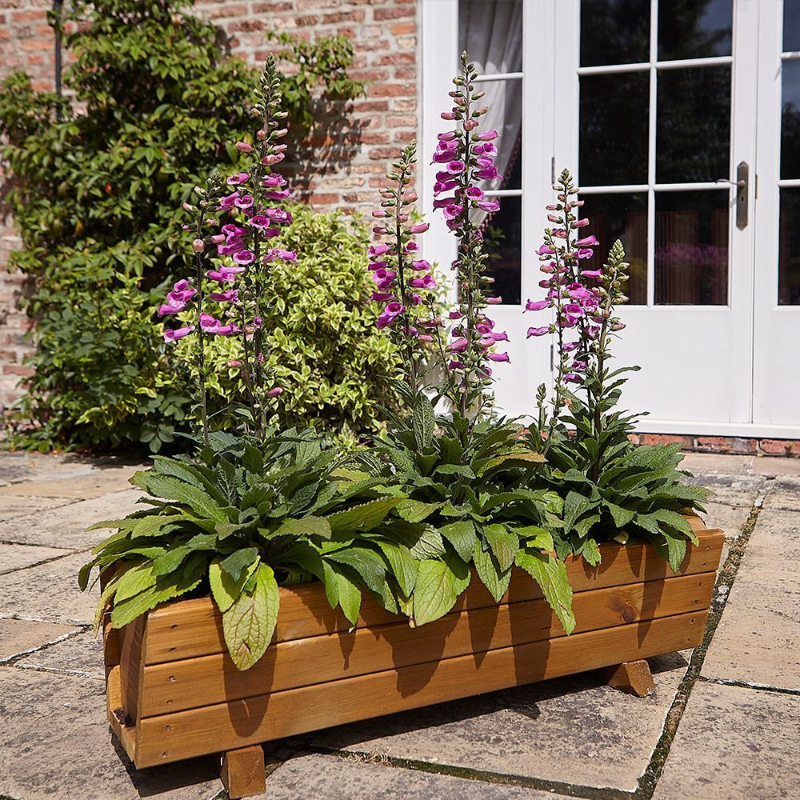 TOM CHAMBERS ROSEMOOR TROUGH PLANTER