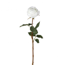 GALLERY ROSE STEM WHITE