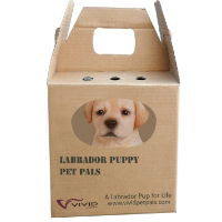 PP-LABR-F GOLDEN LAB PUPPY BOX