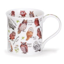 DUNOON BUTE BIRDLIFE OWLS MUG