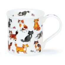 DUNOON BUTE CUTE KITTENS MUG